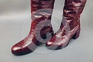 Shoes, stylish burgundy reptile skin leather boots for women. Female fashion. Footwear with low heels