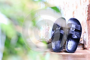 Shoes on the wood background with green blurred background