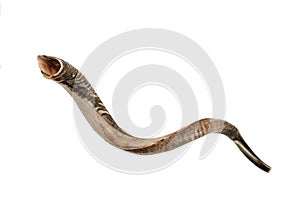 Shofar horn isolated on white photo