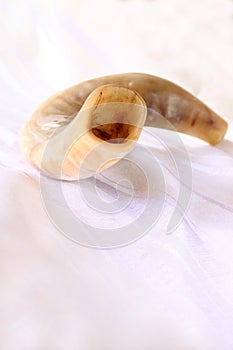 Shofar (horn) on white prayer talit. rosh hashanah (jewish holiday) concept . traditional holiday symbol.