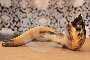 Shofar (horn) on white prayer talit. rosh hashanah (jewish holiday) concept . traditional holiday symbol.