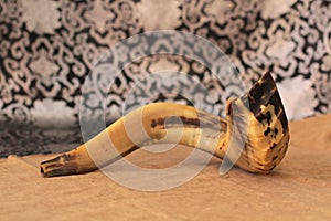 Shofar (horn) on white prayer talit. rosh hashanah (jewish holiday) concept . traditional holiday symbol.
