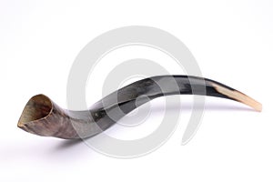 Shofar, isolated