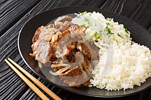 Shogayaki is a very typical Japanese pan fried pork dish with soy sauce and ginger flavor closeup in the plate. horizontal
