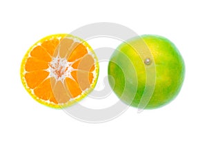 Shogun oranges fruit on white background photo