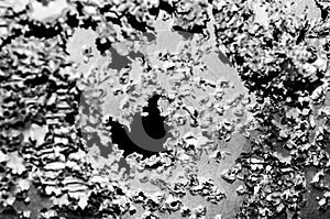 Shooitng target full of bullet holes. Black and White