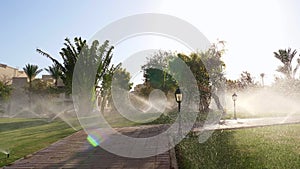 shooting against the sun, Pouring water of green lawn. splashes of water glow in the sunlight