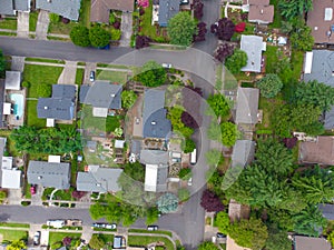 Shooting from a drone. Small green suburb. Roofs of one-story houses and industrial buildings. Lots of greenery, paved roads, car