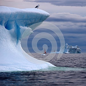 Shooting of ices at a short distance. An iceberg surface with thawing traces.