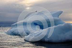 Shooting of ices at a short distance. An iceberg surface with thawing traces.