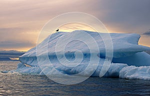 Shooting of ices at a short distance. An iceberg surface with thawing traces.