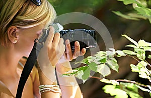 Shooting, photographer and nature with woman in forest for trees, environment and relax. Discover, camera lens and