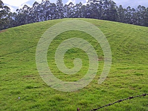 Shooting point location in Munnar Kerala,India