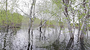 Shooting from the river during the spring flood