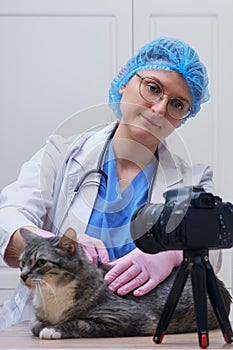 Shooting a video of a cat being treated on camera by a veterinarian on a table in a veterinary clinic