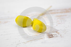 Shoots of vegan sunflower greens are yellow. Microgreen plant sprouts isolated on a white background