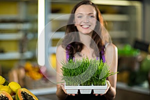 Shop assistant holding a tray of herbs in health grocery shop