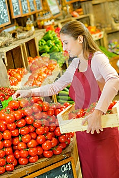 Shop assistant restocking pile tomatoes