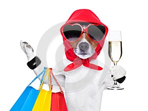 Shopaholic diva dog