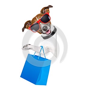 Shopaholic shopping dog