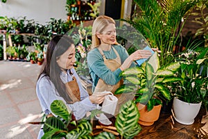 A shopkeeper and her employee work together harmoniously and amicably, wiping the leaves of plants in a store or