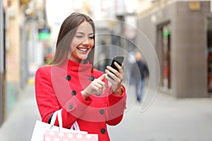 Shopper buying online on the smart phone