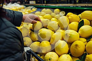 shopper examining a pile of lemons for ripeness in store