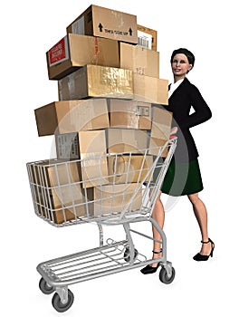 Shopper Shopping Cart Shipping