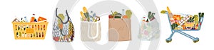 Shopping bags and baskets flat vector illustrations set. Grocery purchases, paper and plastic packages, turtle bags with photo