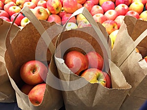 Shopping Bags With Fresh Organic Apples For Sale