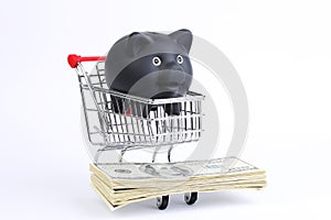 Shopping basket with black piggy bank and stack of money american hundred dollar bills on white background