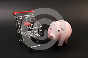 Shopping basket and pink piggy bank on black background