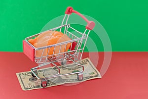 A shopping basket on a red and green background with a plastic chicken stands on a banknote. The concept of unnatural products