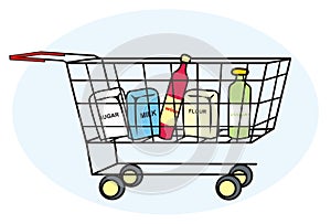 Shopping cart