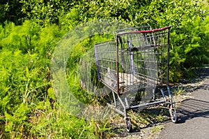 Shopping cart abandoned in a park