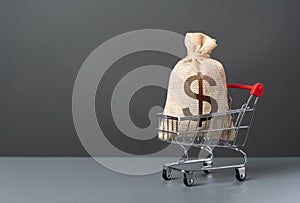 Shopping cart with big dollar money bag. Extra income.