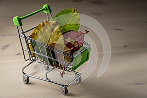 Shopping cart with colorful autumn leaves inside