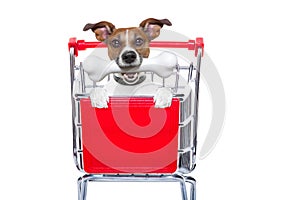 Shopping cart dog img