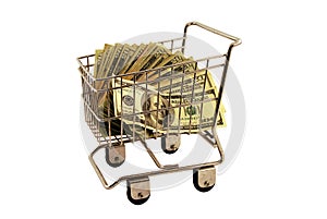 Shopping Cart filled money