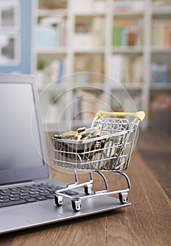 Shopping cart full of money and laptop