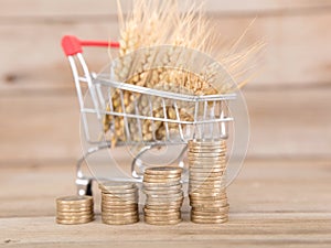 A shopping cart full of ripe wheat ears and a row of growing euro coins