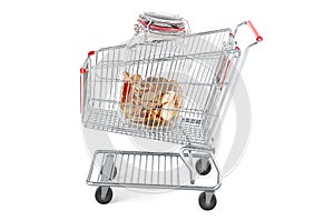Shopping cart with glass jar full of golden coins, 3D rendering