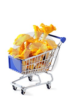 shopping cart with golden chanterelle on white isolated background