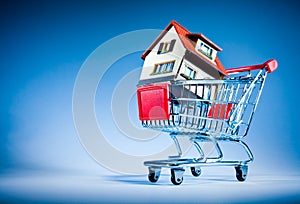 Shopping cart and house photo