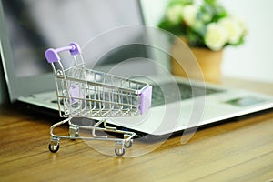 Shopping cart and laptop computer, Concepts online shopping where consumers can buy products directly