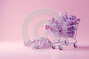 Shopping cart with lilac blooming branches. Spring shopping, sale, discounts. Florist advertisement, copy space for text. Spring