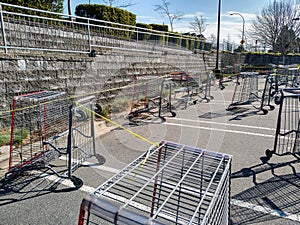 Shopping Cart lineup maze