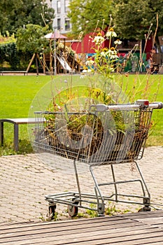 shopping cart with lots of flowers