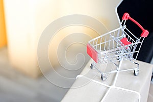 Shopping cart online marketing packaging with Start up small business entrepreneur SME,Online shopping ecommerce delivery