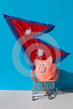 Shopping cart and piggy bank with Nepalese flag.